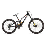 Specialized Demo Race